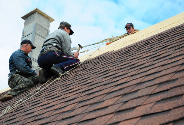 Best Emergency Roof Repair  in USA